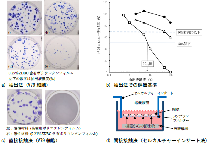 細胞毒性試験：コロニー形成試験