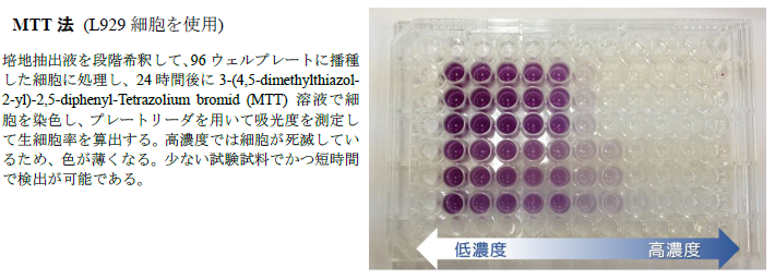 細胞毒性試験：細胞密度が高い状態で細胞曝露を行う細胞毒性試験法の例